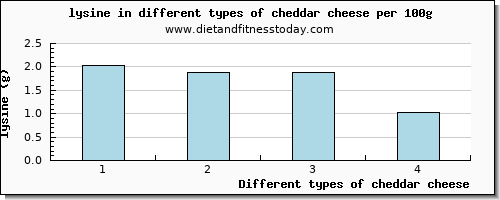 cheddar cheese lysine per 100g